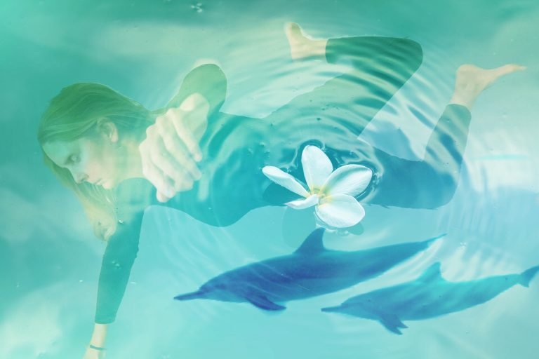 Prue wholeness in diversity flower dolphins